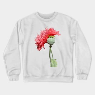 Pink Peony Poppy Flower Crewneck Sweatshirt